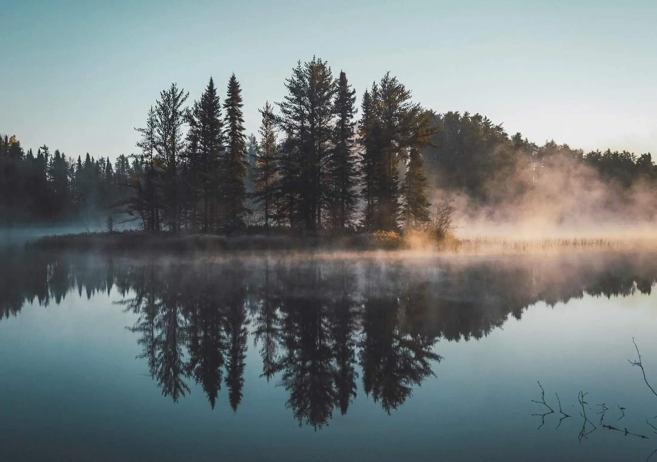 A calm lake reflects an island of dense trees under a clear sky, with morning mist rising from the water.