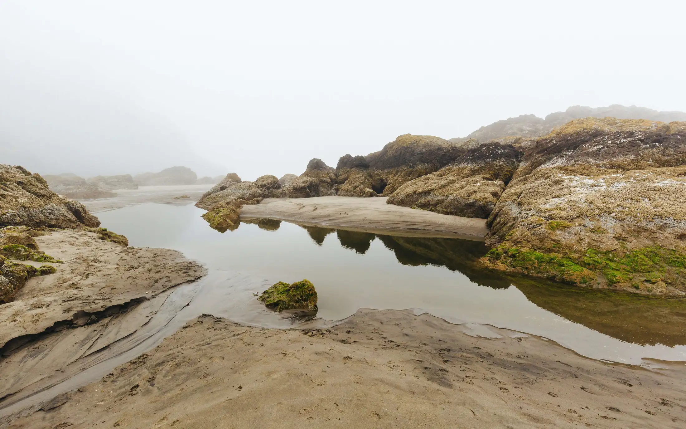 A foggy coastal scene with rocky formations, small pools of water, and sandy terrain.