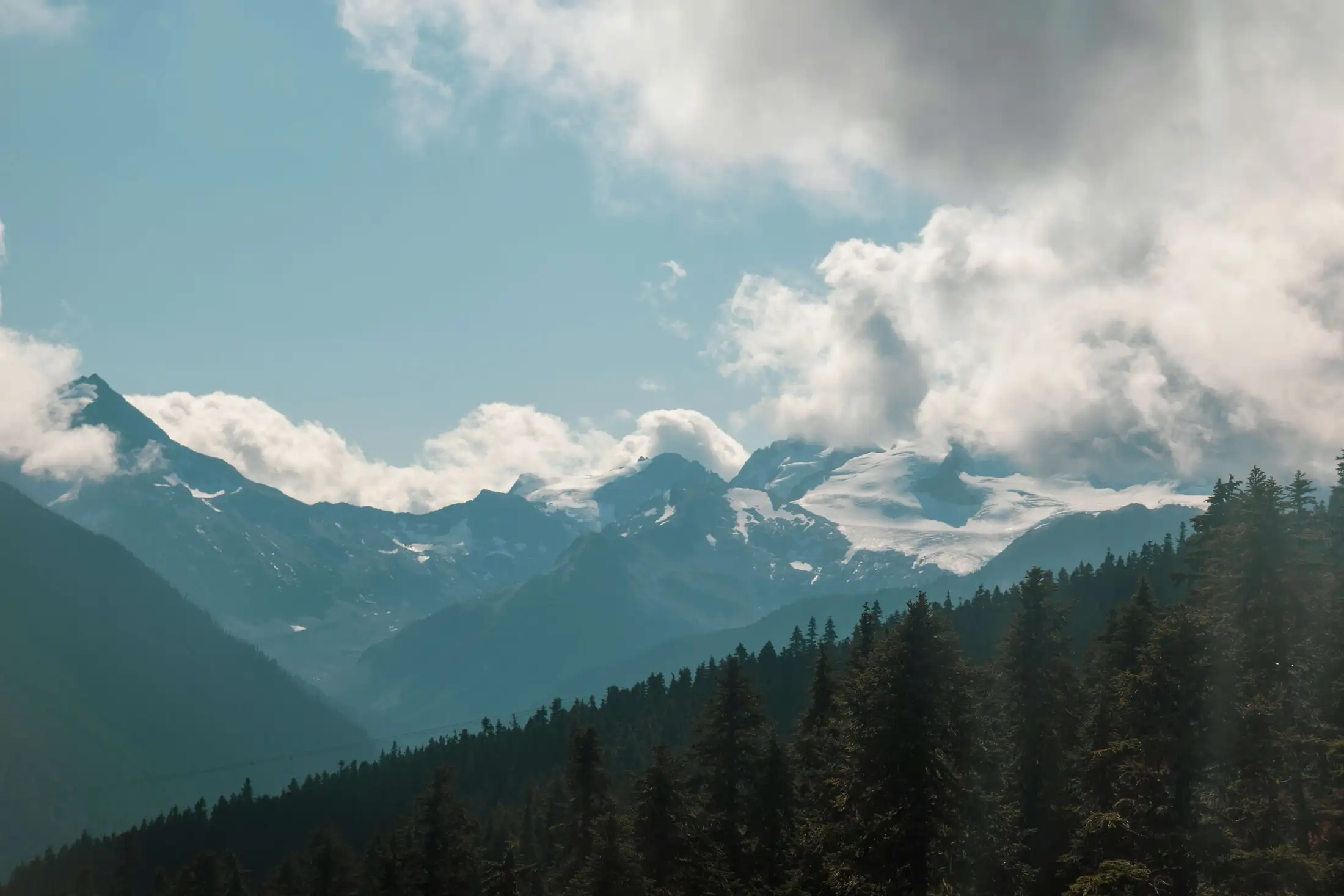 A scenic view of snow-capped mountains partially covered by clouds, with dense pine forest in the foreground under a blue sky.