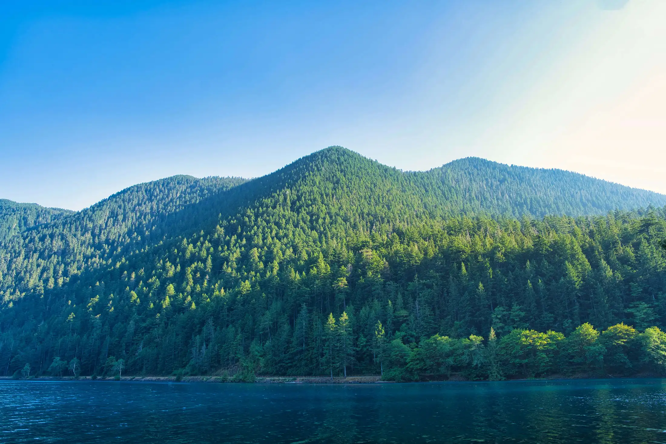 A serene lake bordered by dense, green forested hills under a clear blue sky.