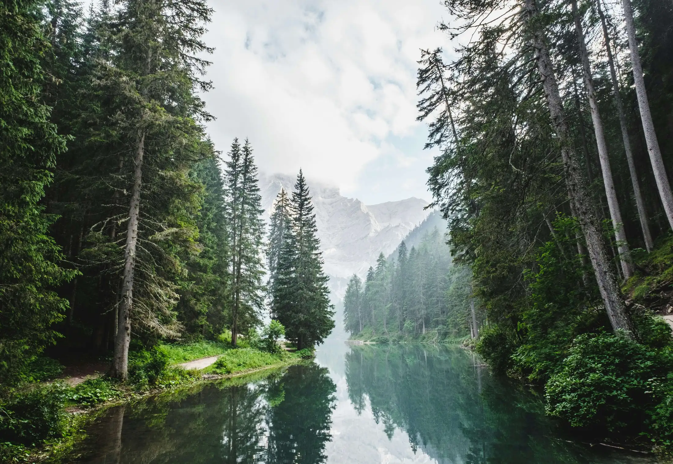A serene lake surrounded by tall evergreen trees with mountains in the background under a cloudy sky.