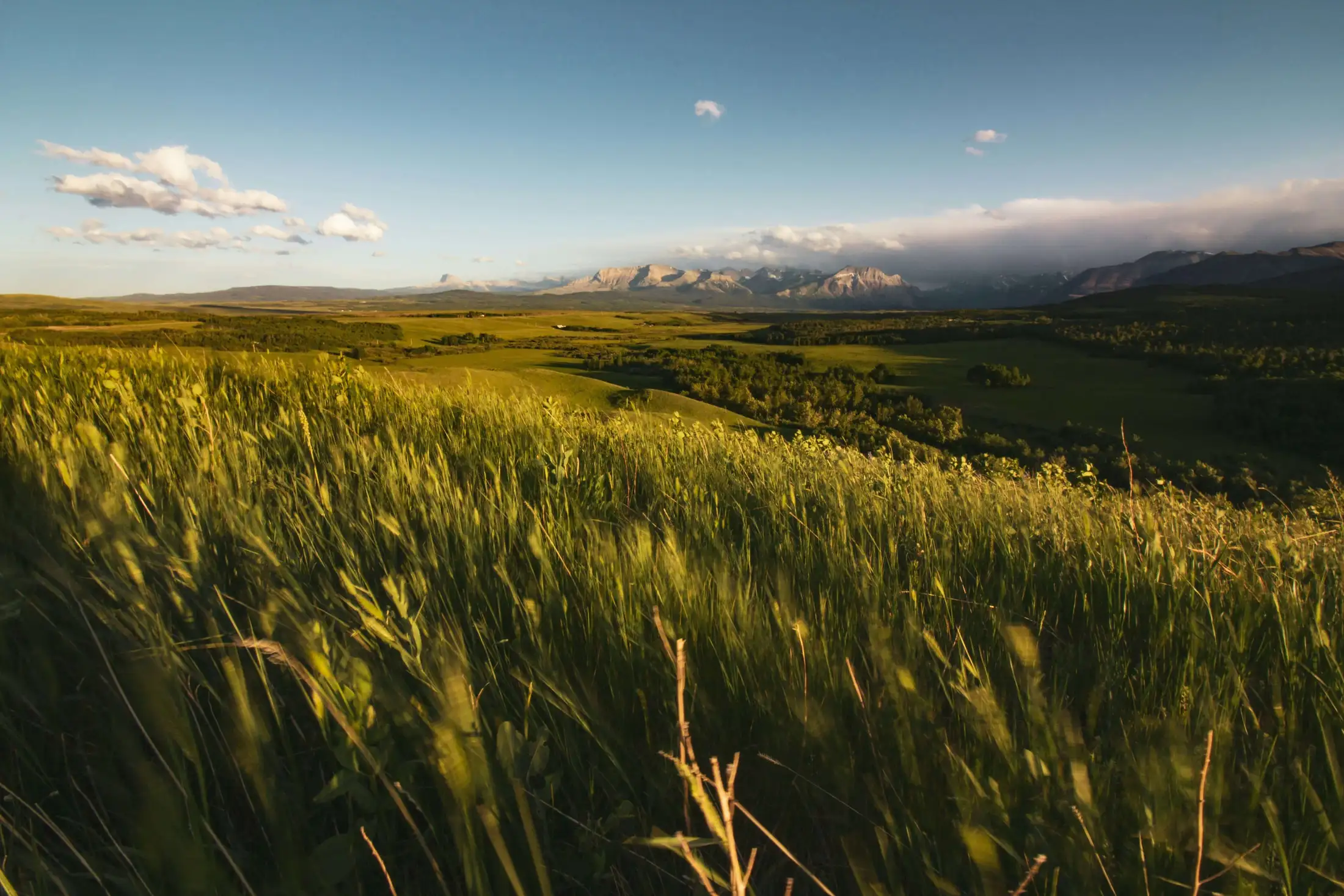 A wide open grassy field under a blue sky with scattered clouds. Distant mountains are partially covered in mist.