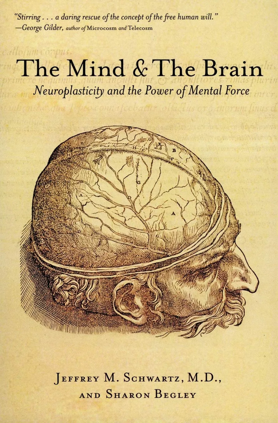 Book cover for 