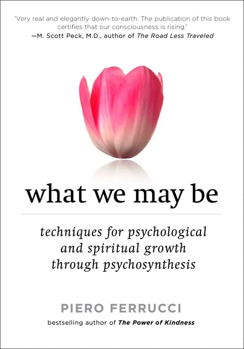Book cover of 
