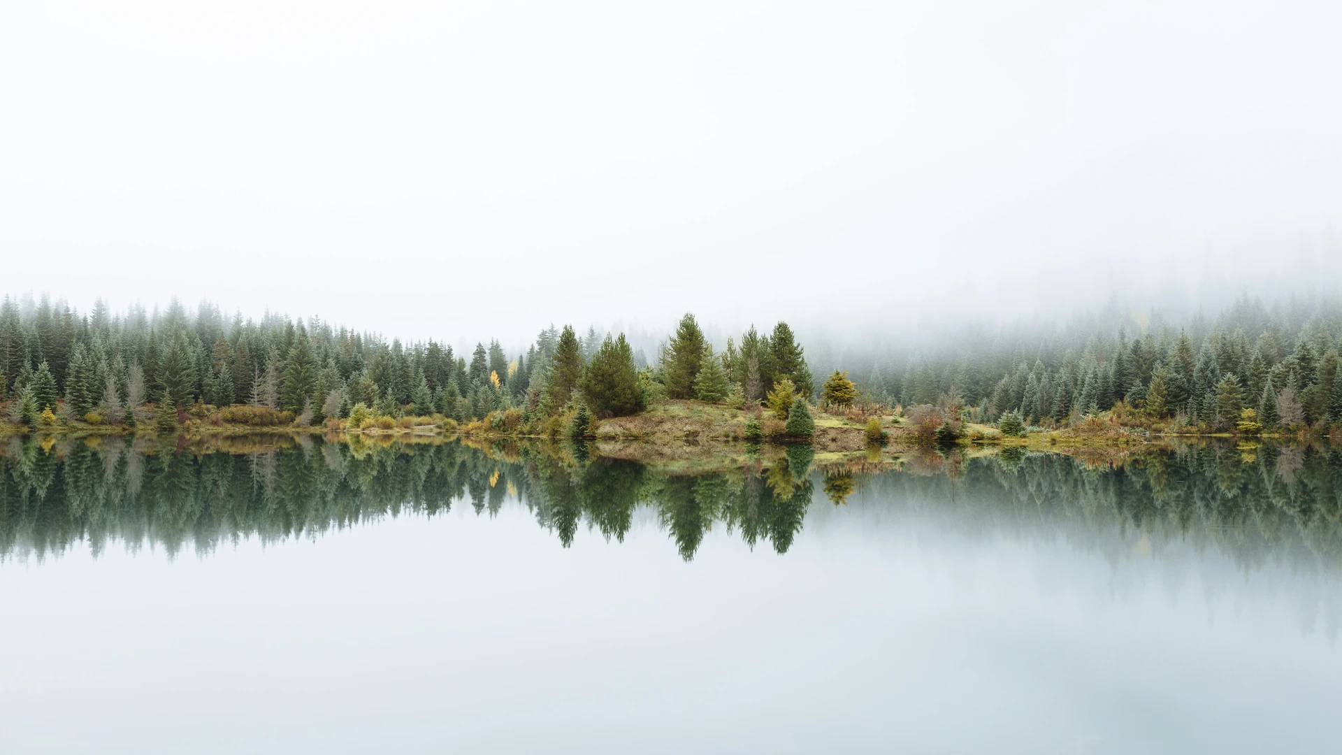 A serene, foggy landscape with a calm lake reflecting dense evergreen forests along the shore.