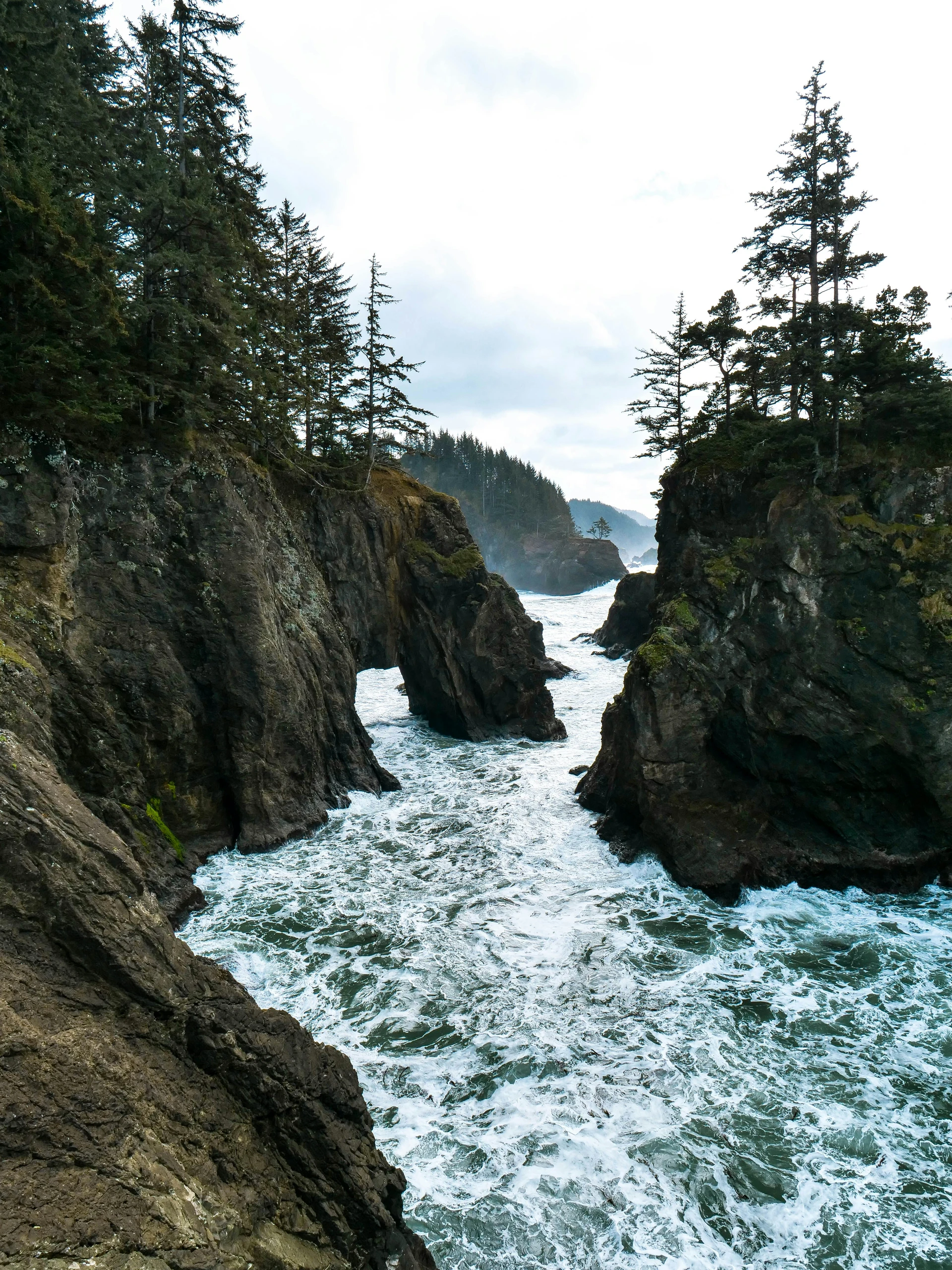 A rugged, rocky coastline with tall cliffs and evergreen trees overlooks a churning ocean under a cloudy sky.