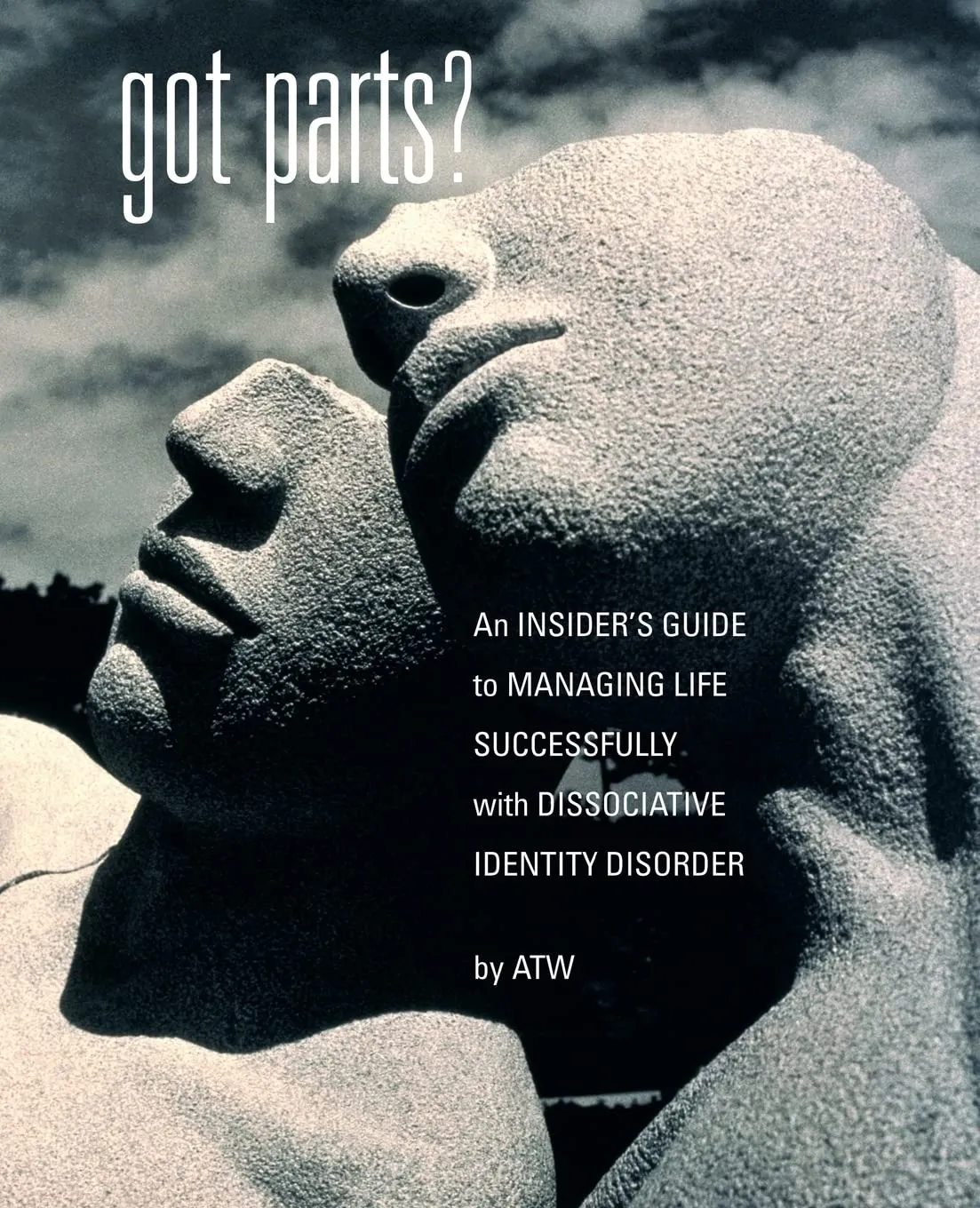 Cover of the book 