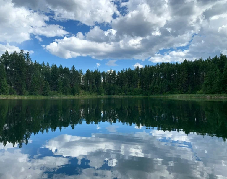 A tranquil lake reflecting a partly cloudy sky, surrounded by dense green forest.