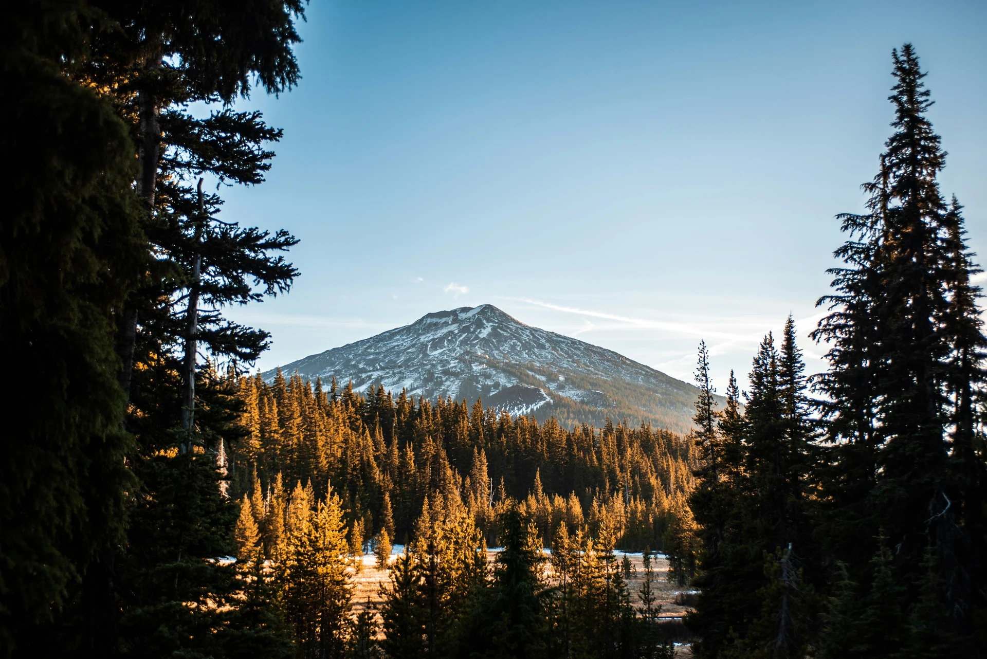 A snow-capped mountain peak surrounded by dense forest under a clear blue sky. Pine trees frame the view, with sunlight casting a warm glow on the landscape.