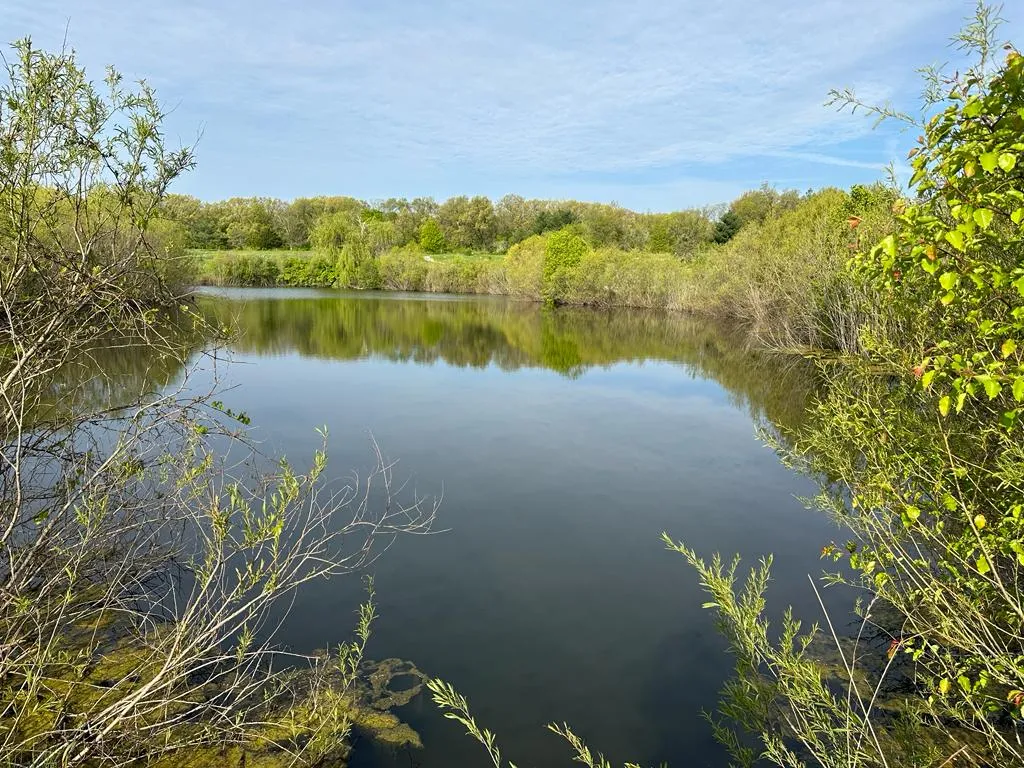 A calm lake surrounded by lush greenery and trees under a partly cloudy sky. The water reflects the surrounding vegetation. Sparse branches extend into the foreground.