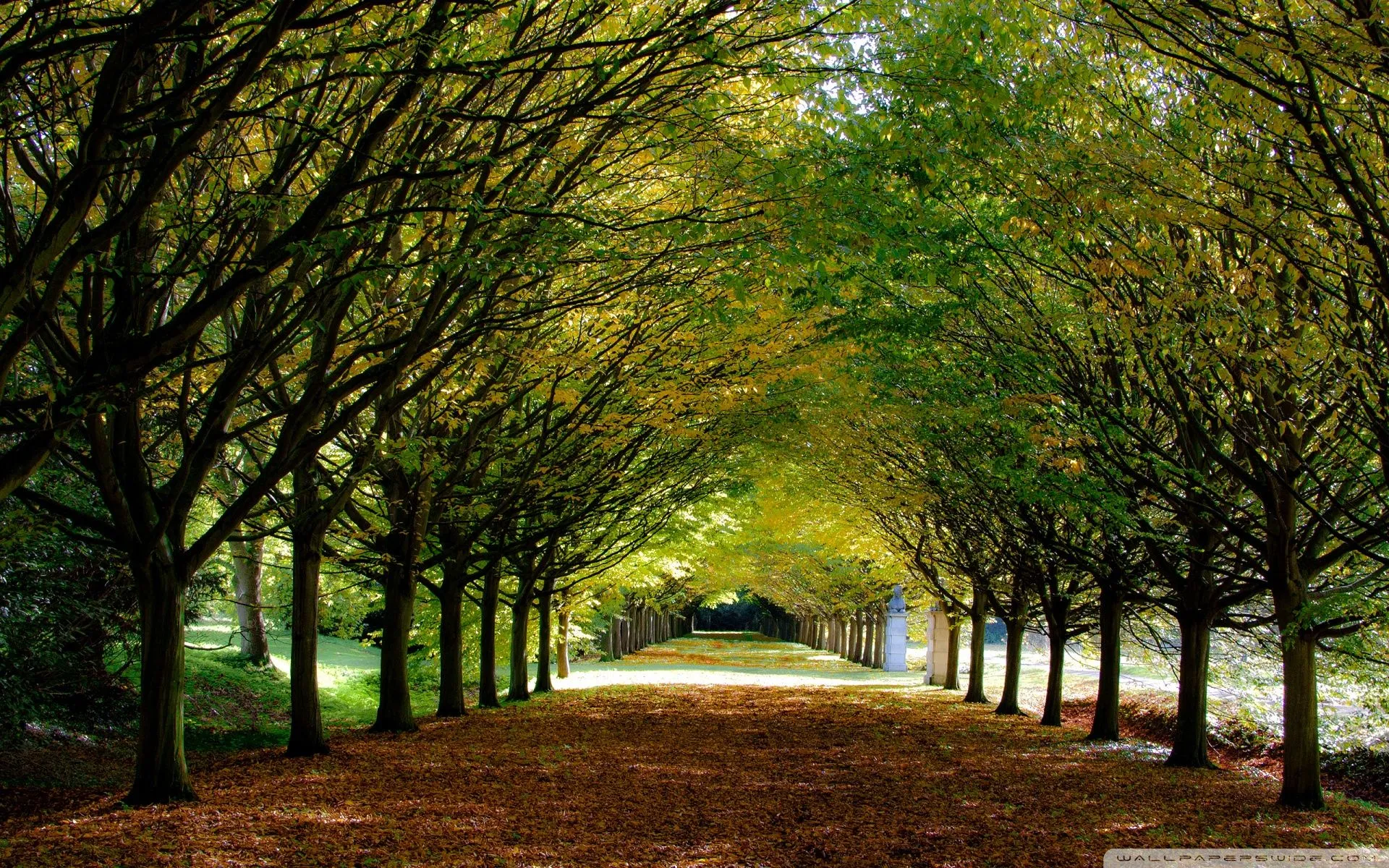 Divorce Recovery: Navigating the Emotional Journey and Knowing its Possible