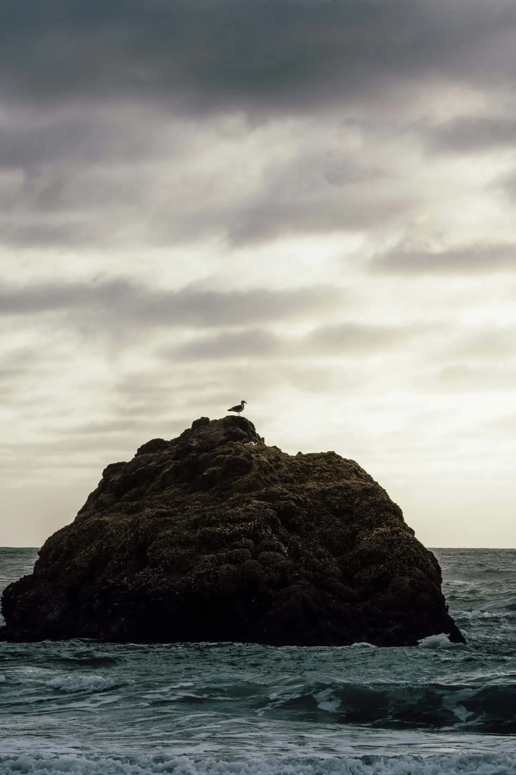 A solitary seagull stands atop a large rock in the ocean under a cloudy sky, free from the binds of codependency.