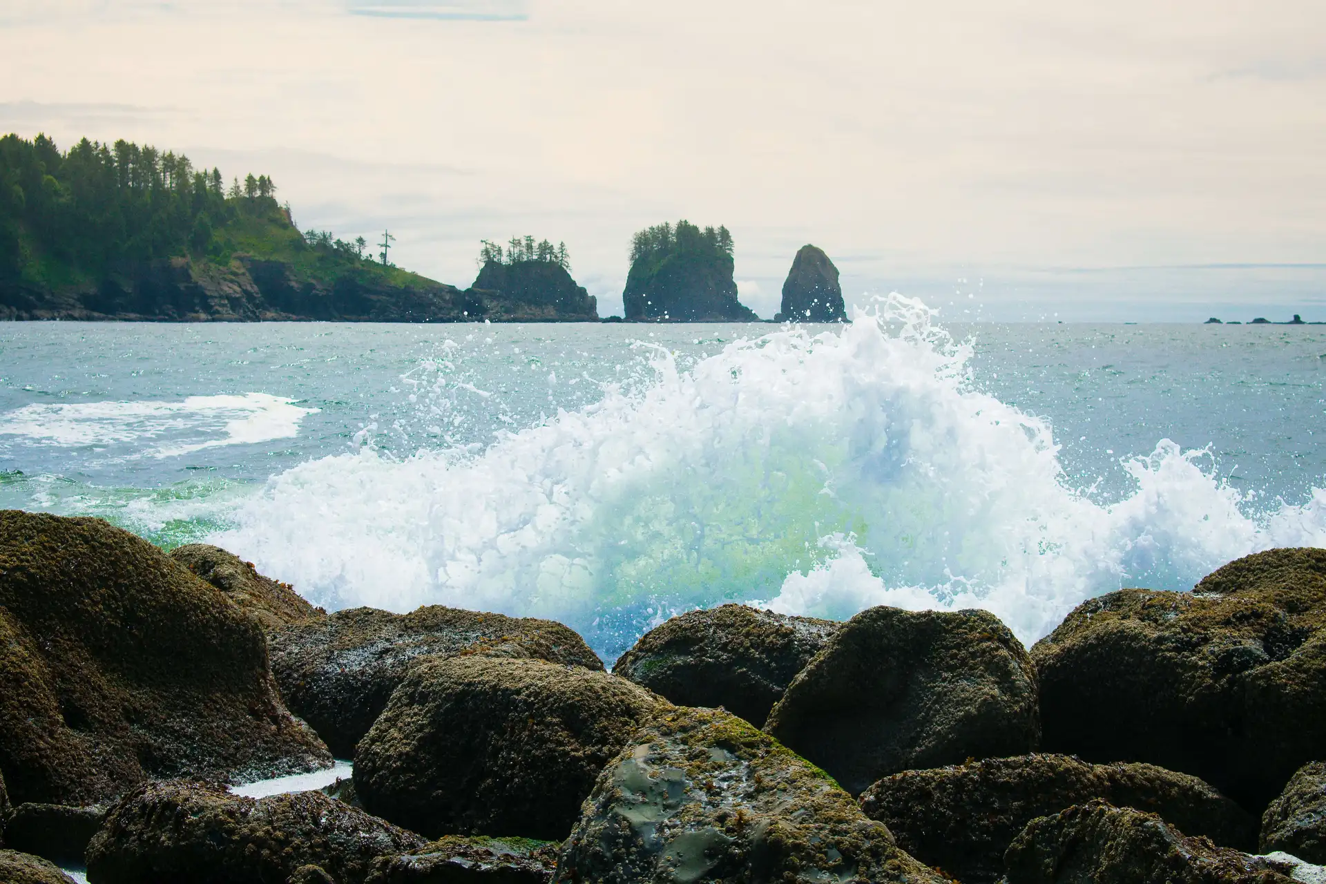 Ocean waves crash against the rocky shore, mirroring the codependency between land and sea, with distant islets and trees under a partly cloudy sky.