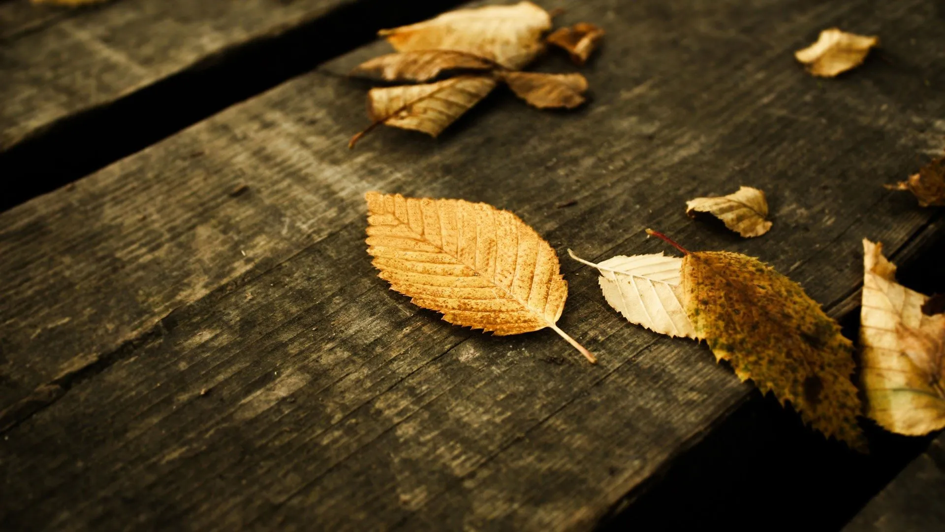 How Internalized Shame from Trauma Can Lead to Depression