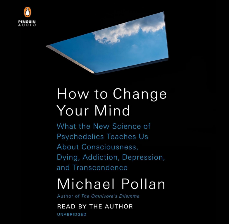 Audiobook cover for 