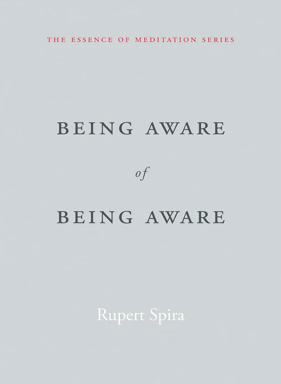 Book cover with gray background and red and black text. Title: 