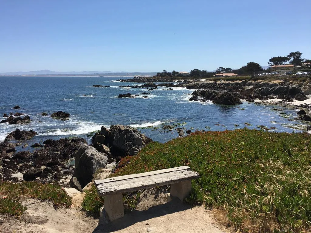 A wooden bench overlooks a rocky coastline with waves crashing against the shore and houses in the distance under a clear blue sky.
